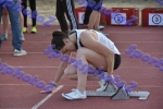 bDSC_0080