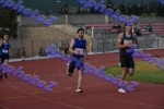 bDSC_0242