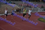 bDSC_0288