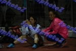 bDSC_0437