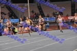 bDSC_0238