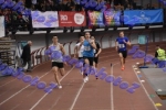 bDSC_0285