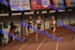 bDSC_0409