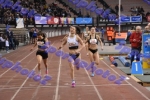 bDSC_0442
