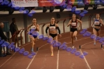 bDSC_0494