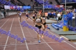bDSC_0520