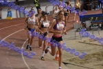 bDSC_0577