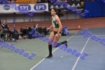 bDSC_0687