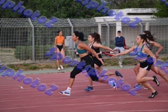 pDSC_2103