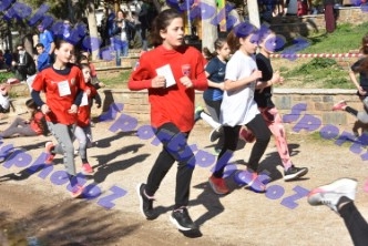 DSC_4346