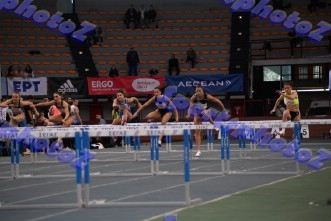 BDSC_0003