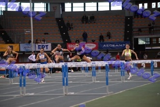 BDSC_0004