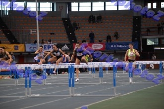BDSC_0005