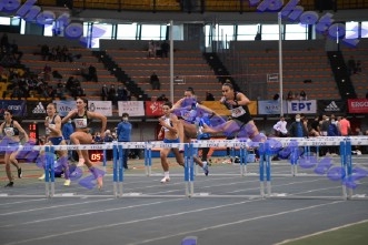 BDSC_0006
