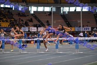 BDSC_0007