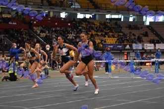 BDSC_0008