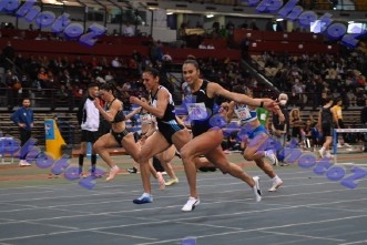 BDSC_0010