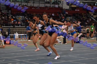 BDSC_0011