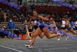 BDSC_0012