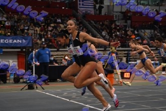 BDSC_0013