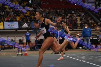 BDSC_0014