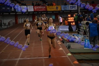 BDSC_0251