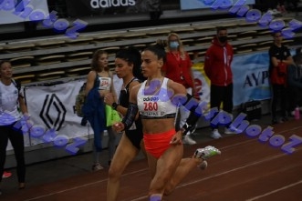 BDSC_0284