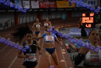 BDSC_0311