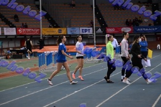 BDSC_0376