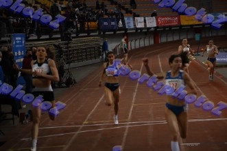 BDSC_0478
