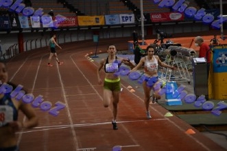 BDSC_0482