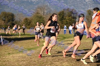 DSC_8707