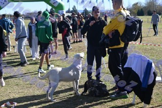 eDSC_0097