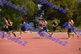 bDSC_0247