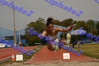 bDSC_0310