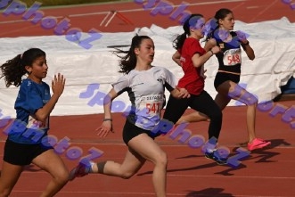bDSC_1006