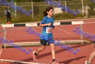 bDSC_1310