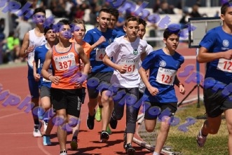 bDSC_0248