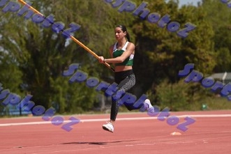 bDSC_0293