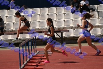 bDSC_0374