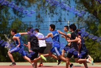 bDSC_0502