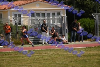 bDSC_0537