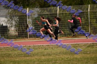 bDSC_0542