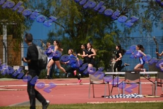 bDSC_0545