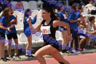 bDSC_0555