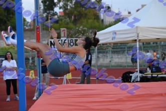 DSC_6655