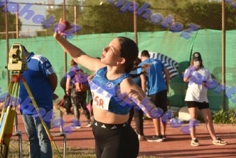 DSC_7228