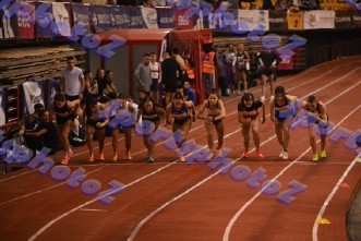DSC_7170