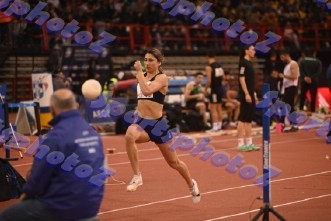 DSC_8686