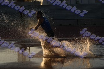 DSC_1181